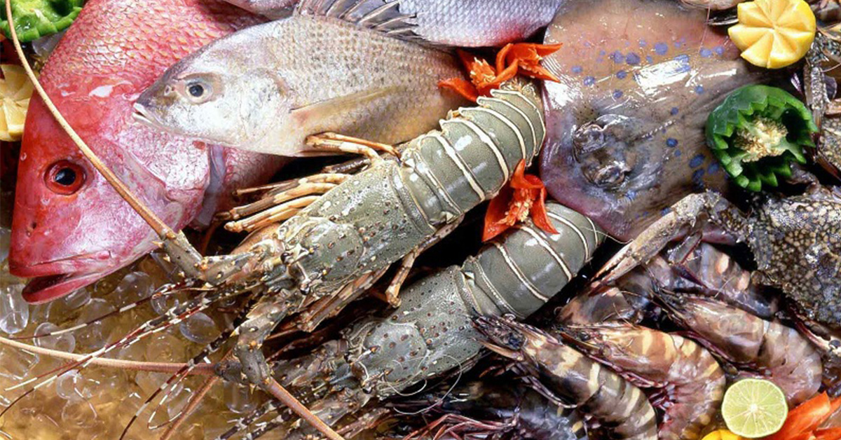 Giàn lạnh bằng nhôm