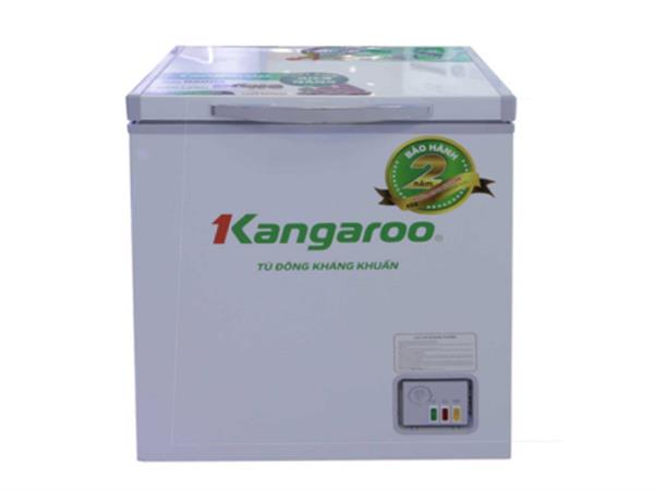Tủ đông kháng khuẩn Kangaroo KG168NC1